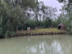 -泗洪洪泽湖湿地景区