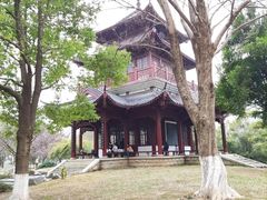 -堤角公园