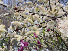 -樱桃山旅游景区