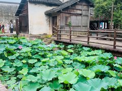-乌镇景区