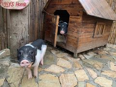 -HERRE·FARM 赫尔露营农场·团建聚会包场