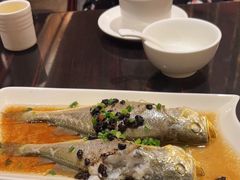 -湛江民大喜来登酒店-采悦轩中餐厅