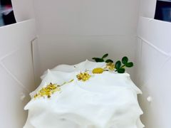 芋泥小方-双风车咖啡馆 Twin Windmills(六道口店)