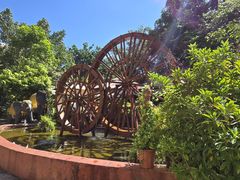 -品德宏·孔雀宴的发源地(金塔园店)