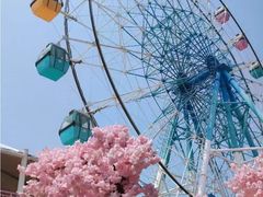 -巨鹏飞梦幻海岸