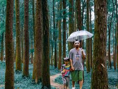 -共青国家森林公园-售票处