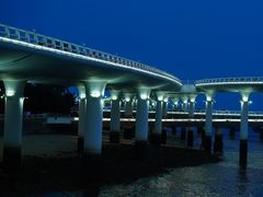 -演武大桥观景平台