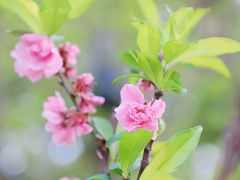 -船政文化景区-罗星塔公园