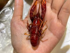 麻辣小龙虾-蛙蛙叫干锅年代(簋街总店)