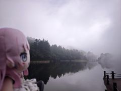 -庐山风景区花径公园