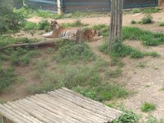 -大连森林动物园