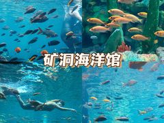 -长鹿旅游休博园