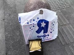 -TOYSRUS玩具反斗城(正大广场店)