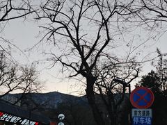 -香山公园