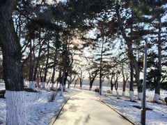 -长春市南湖公园