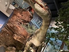 -湖南省地质博物馆