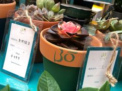 -BoBloom花店(晶耀前滩店)