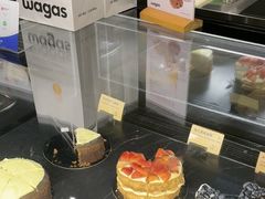 -Wagas沃歌斯(浦东机场店)