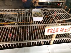 -老幺泉水鸡