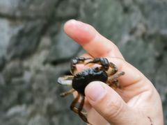 -白水寺森林公园