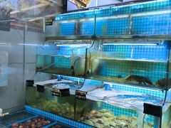 -老东镇啤酒屋海鲜加工·蒸汽海鲜·海鲜烧烤(台东店)