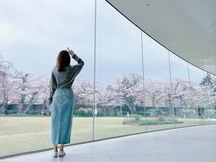 -金泽21世纪美术馆