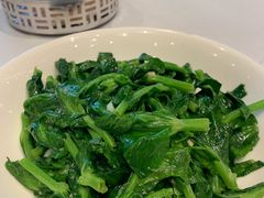 清炒豆苗-凯悦酒家