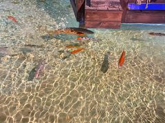 -华夏文旅西安度假区