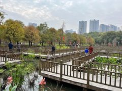 -五缘湾湿地公园