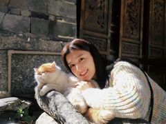 -喵屿·大理花园猫咖