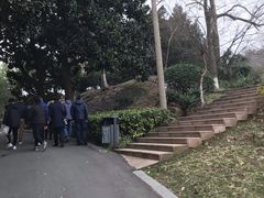 -太子山公园(园东路)