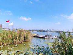 -长广溪湿地公园