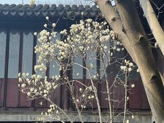 -如家酒店·neo(苏州拙政园狮子林店)