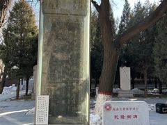 -赵州桥景区