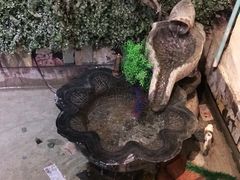-猫小院猫主题咖啡厅(北锣店)