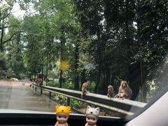 -重庆雨台山风景区