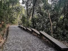 -广东温泉宾馆