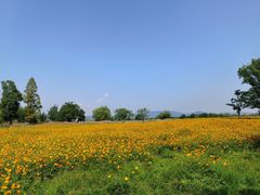 -良渚古城遗址公园