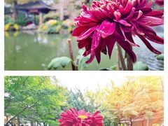 -杭州植物园