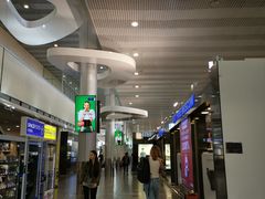 -谢列梅捷沃国际机场