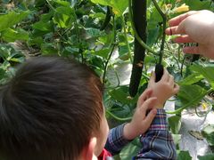 -万源龙顺度假庄园生态观光园