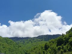 -土司宴