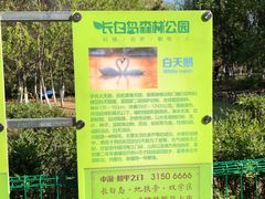 -长白岛森林公园