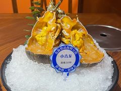 小青龙-东海怡品海鲜豆捞(星街坊店)