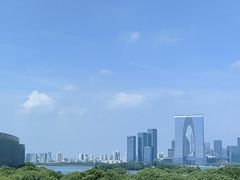 -苏州金鸡湖文博诺富特酒店
