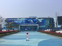-芜湖新华联大白鲸海洋公园