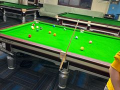 -新新潘晓婷台球俱乐部(周浦店)