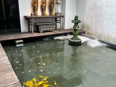 -觀芷隐轩