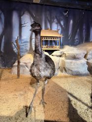 -酷嗒动物文化乐园(cutezoo西溪乐天城店)