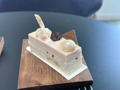 -致璞ZHIPU Rolling on(青岛极地店)